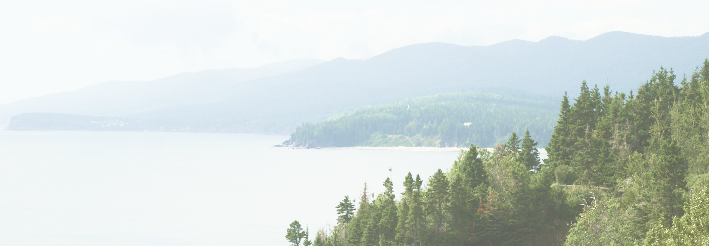 Picturesque lake surrounded by rolling hills and evergreen trees.