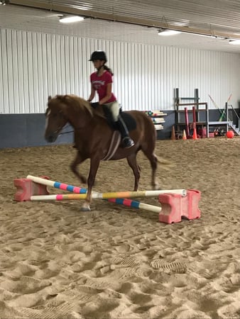 Images Pine Ridge Riding Center LLC