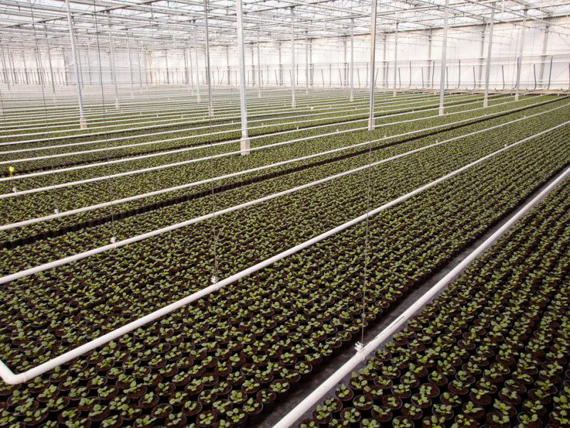 Images Agri Point srl