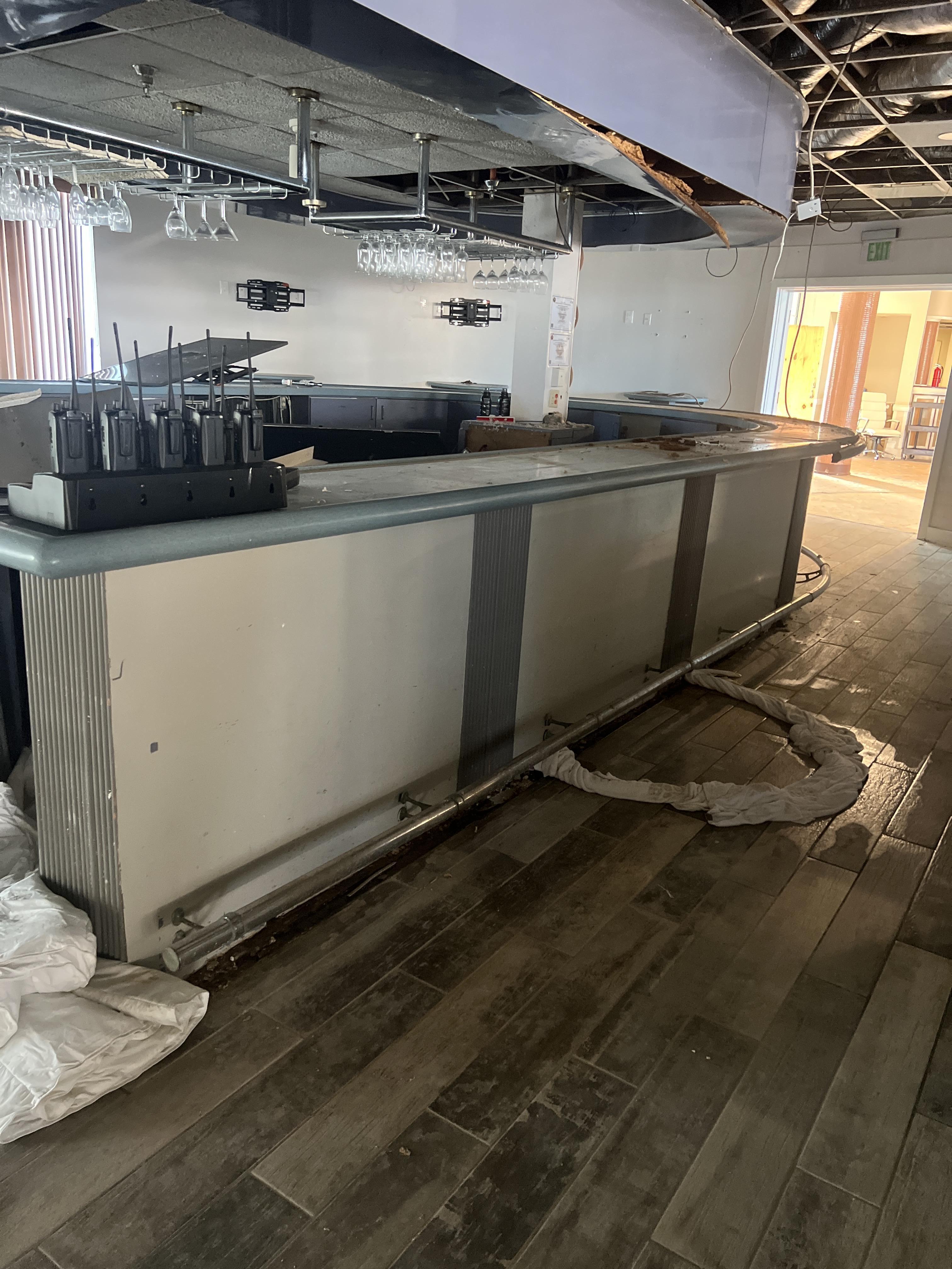 QCI Mold Removal and Testing mold remediation Tampa Bay.