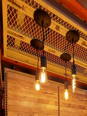 Images Big Dog Electric