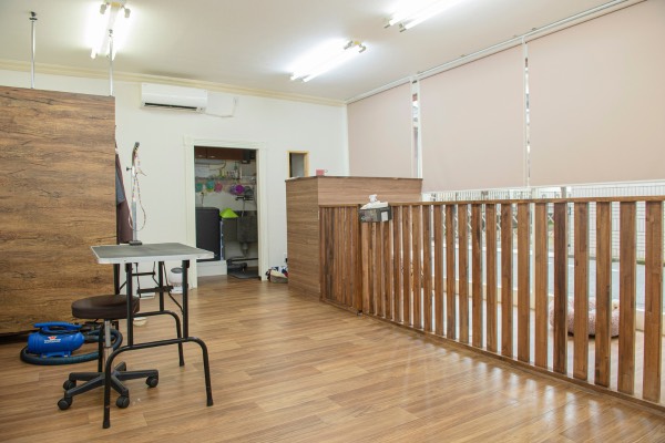Images DogSalon Rwan