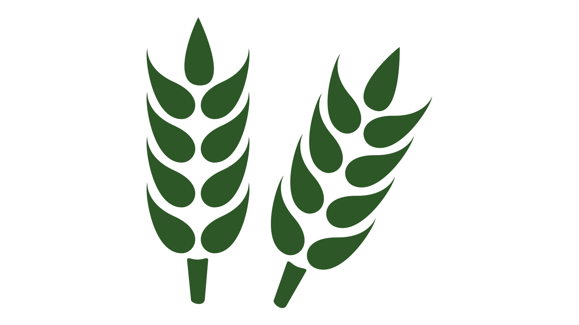 AgrarPartner-Beratung und Service GmbH in Meppen - Logo