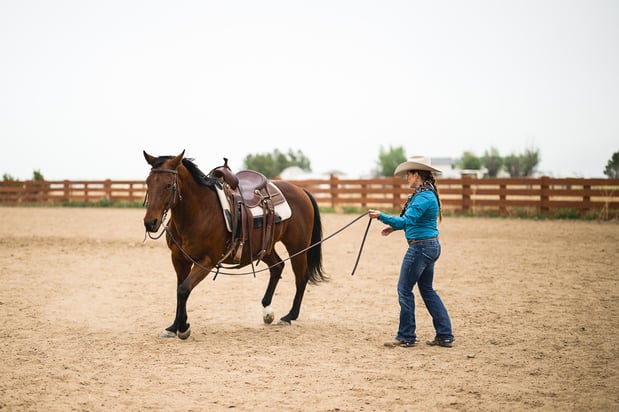 Images Equine Coach, LLC