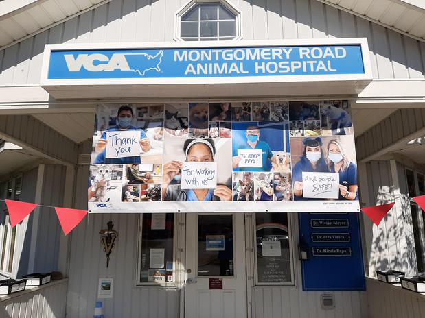 Images VCA Montgomery Road Animal Hospital