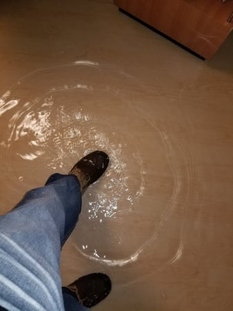 Images EZ Mitigation