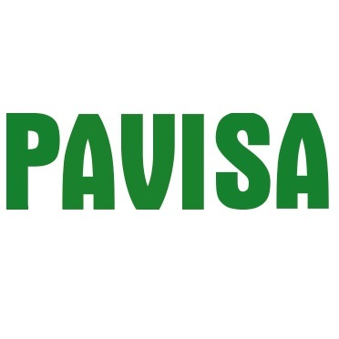 PAVISA S.L. Logo