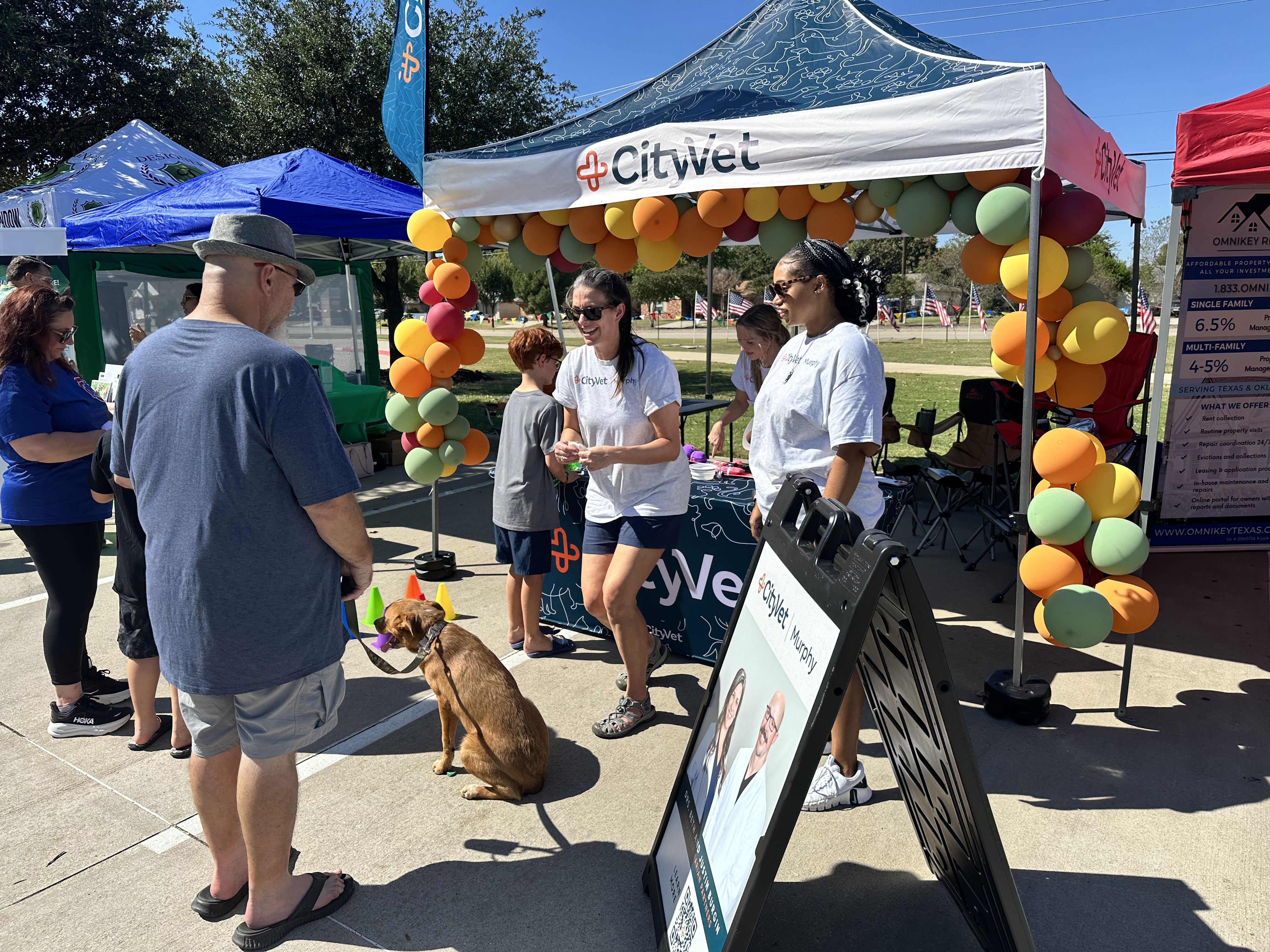 CityVet | Murphy Image