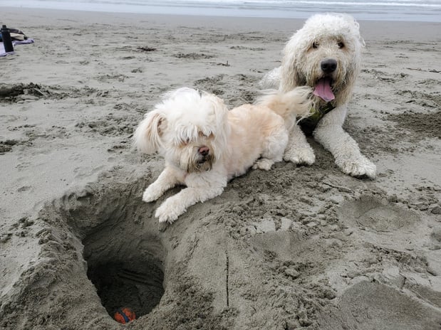 Images Kao Xiong - State Farm Insurance Agent