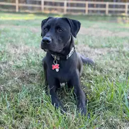 Sniffspot Yolistone Image