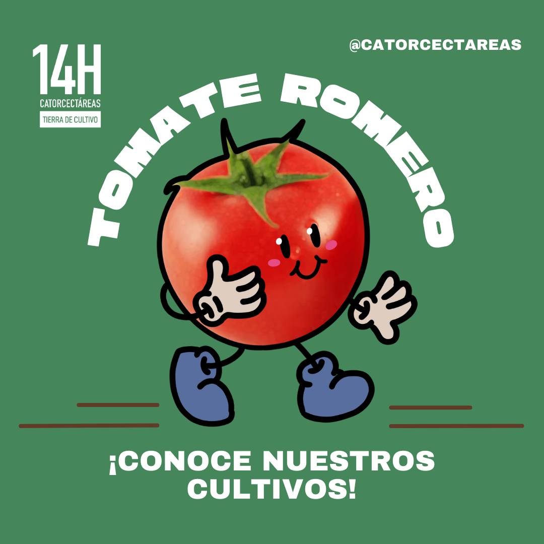 Images Catorcectáreas