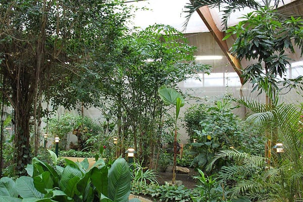 Bilder Schmetterlingshaus Jonsdorf