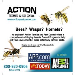 Action Termite & Pest Control Photo