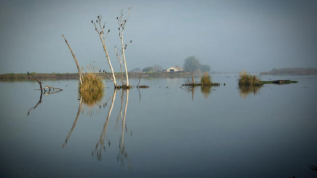 Images Captain Ray's River Tours