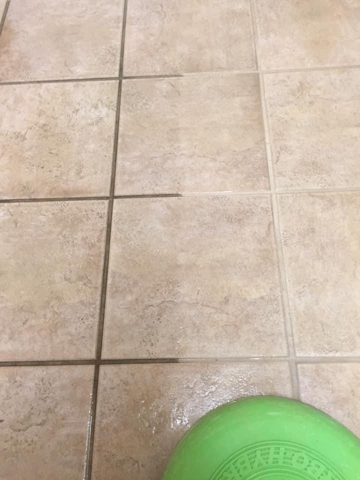 area carpet restoration SD