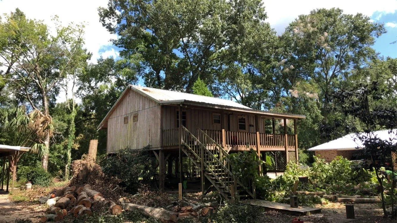 Wooden elevated house surrounded by trees, with a large cut tree stump and logs scattered in the front yard.