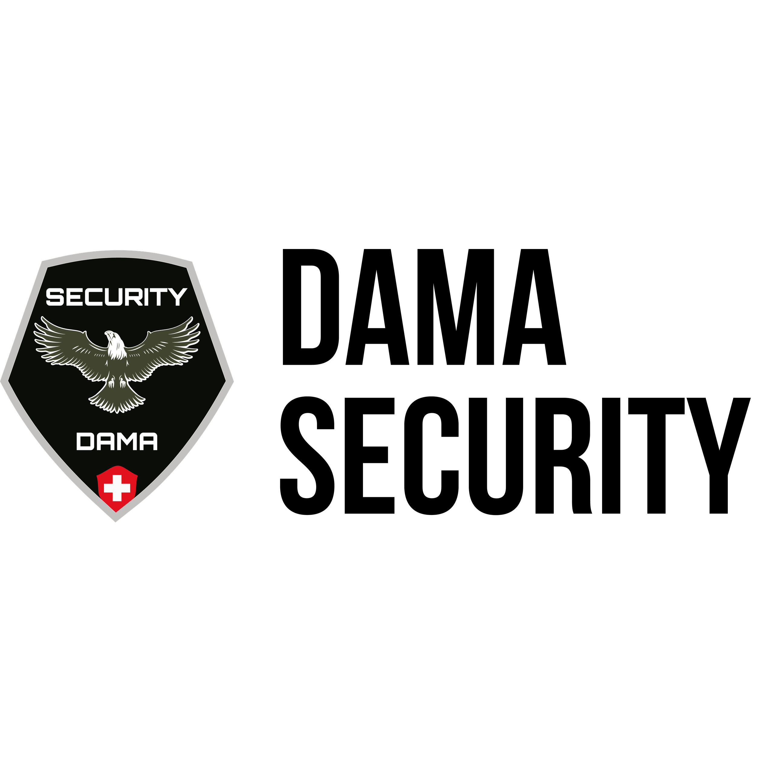 DAMA Security Logo