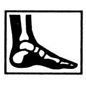 Seattle Foot and Ankle Center: J John Hoy DPM PS - Seattle, WA 98101 - (206)682-8741 | ShowMeLocal.com