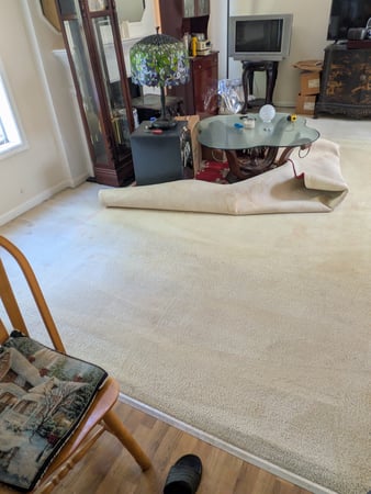 Images Purifications Carpet Cleaning