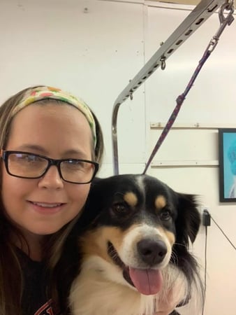 Images Pet Palace