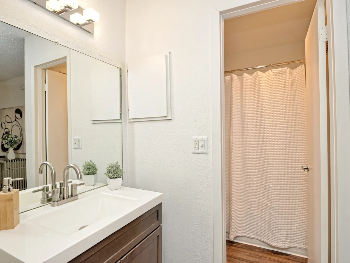 a bathroom with a sink and a shower and a mirror