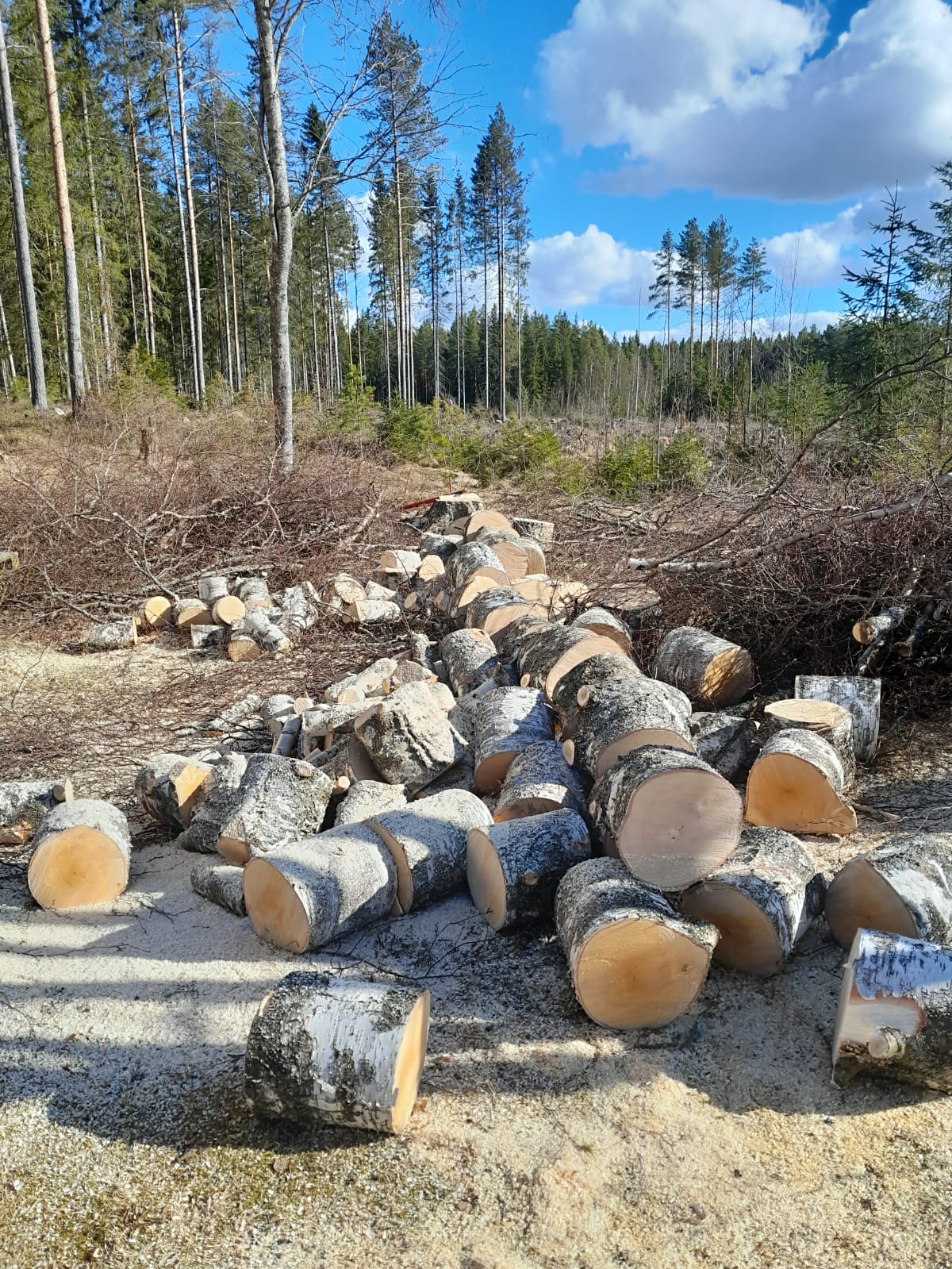 Images Tmi Monitoimi Pollari