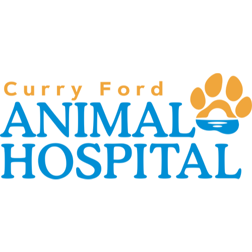 Curry Ford Animal Hospital Logo
