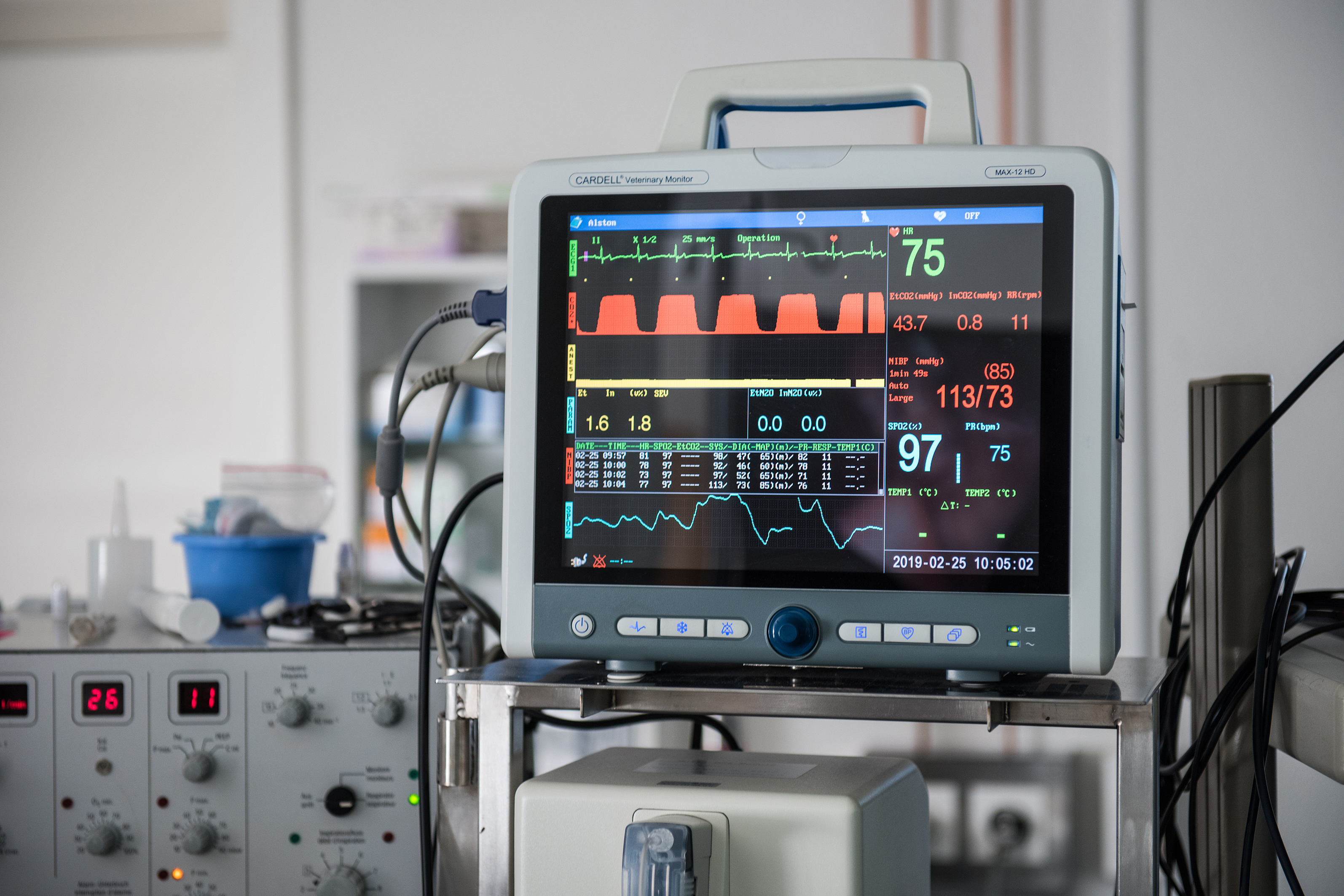 Bilder Kleintierklinik Glattfeld AG