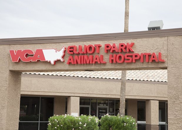 Images VCA Elliot Park Animal Hospital