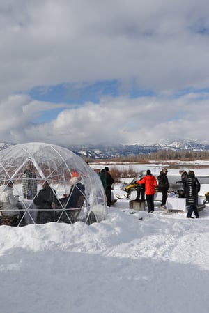 Images Backcountry Safaris