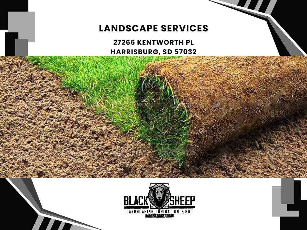 landscape services