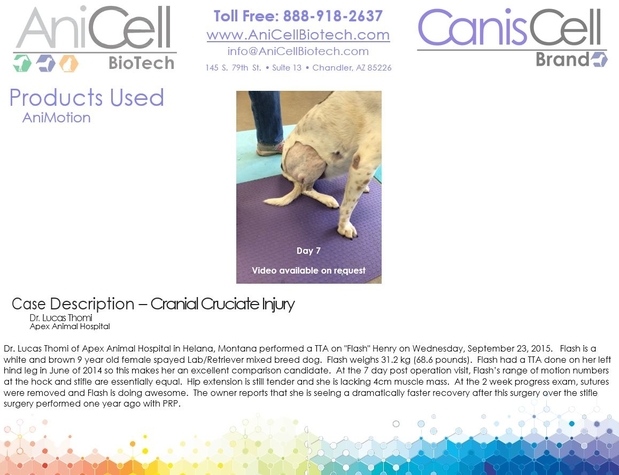 Images AniCell Biotech, LLC