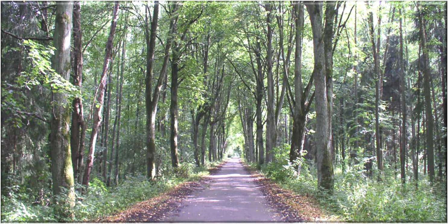 Seeland Bestattungen, Mitteldorf 17 in Kallnach