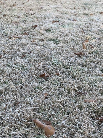 Images Greenway Lawn Care