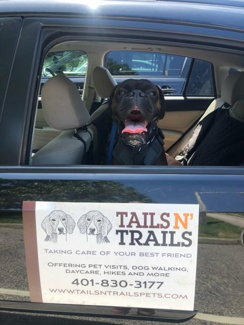 Tails N Trails Pets provides the best and most affordable dog walker, dog sitter and dog daycare in Milwaukee Wisconsin.