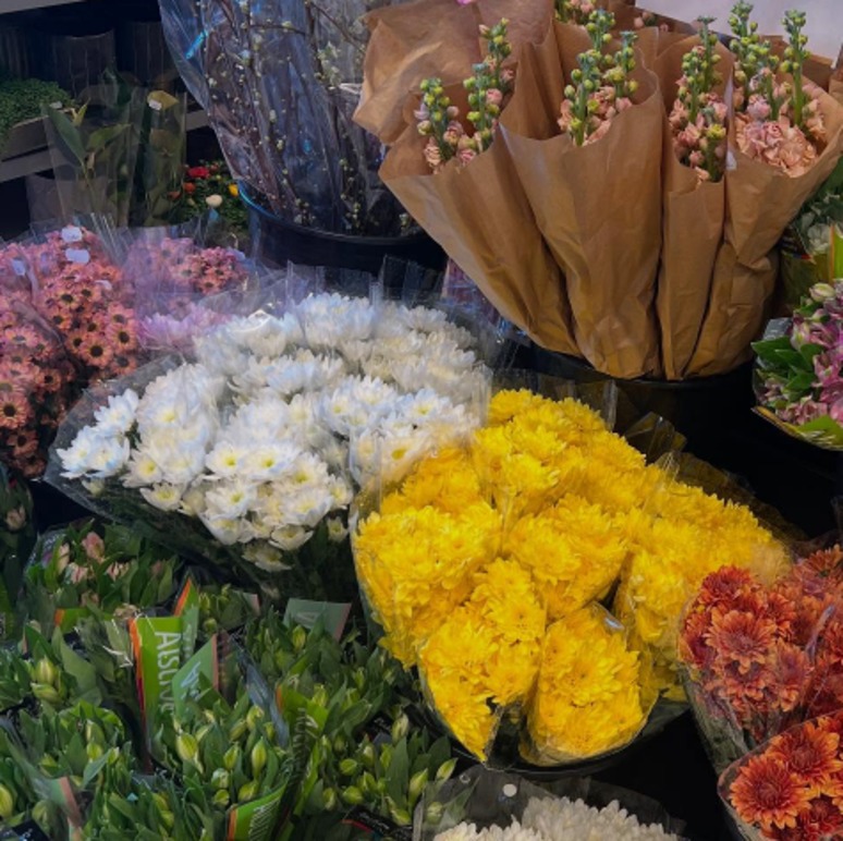 Images MATHISENS BLOMSTER AS