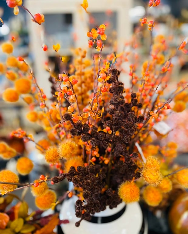 Images Miss Daisy's Home & Decor Co.