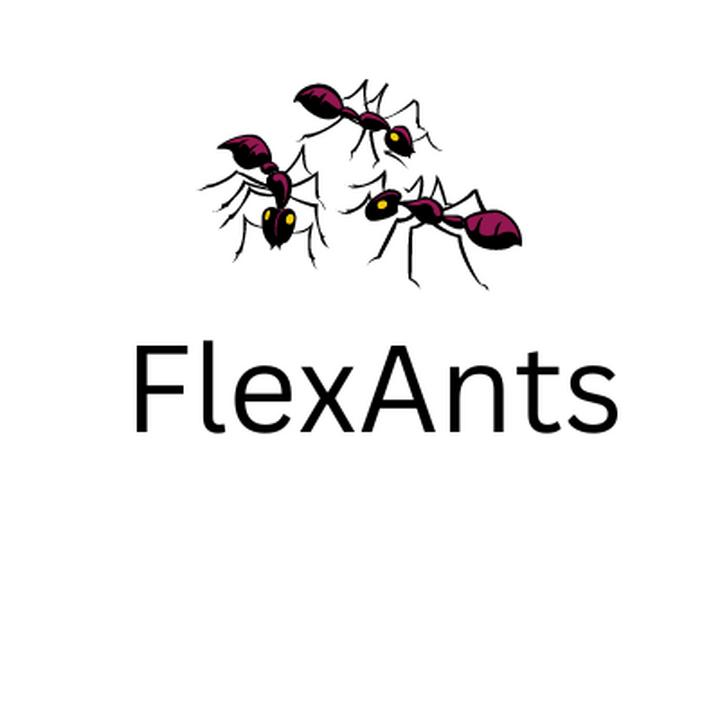 Bilder FlexAnts