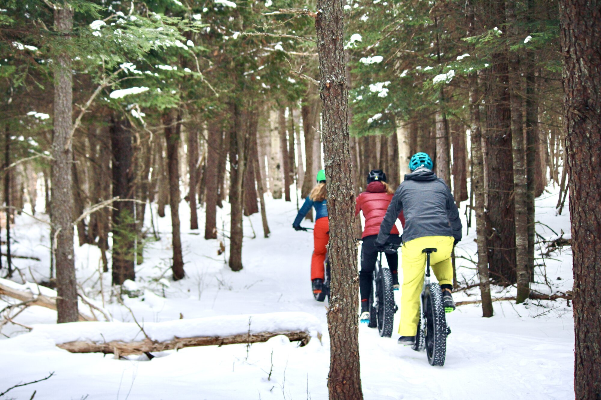 Images Expérience SK