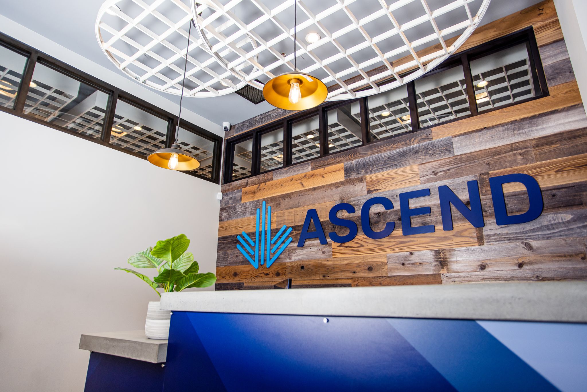Ascend Cannabis Provisions - Grand Rapids 28th Street