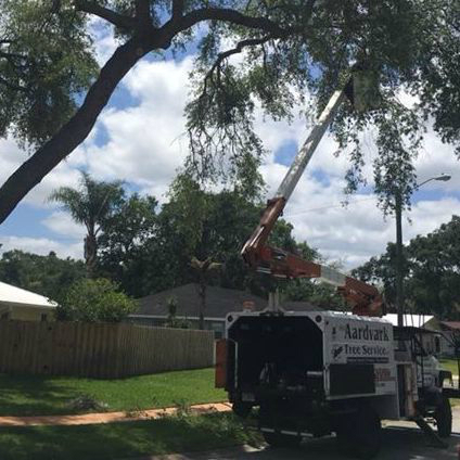 Aardvark Tree Services, LLC Photo