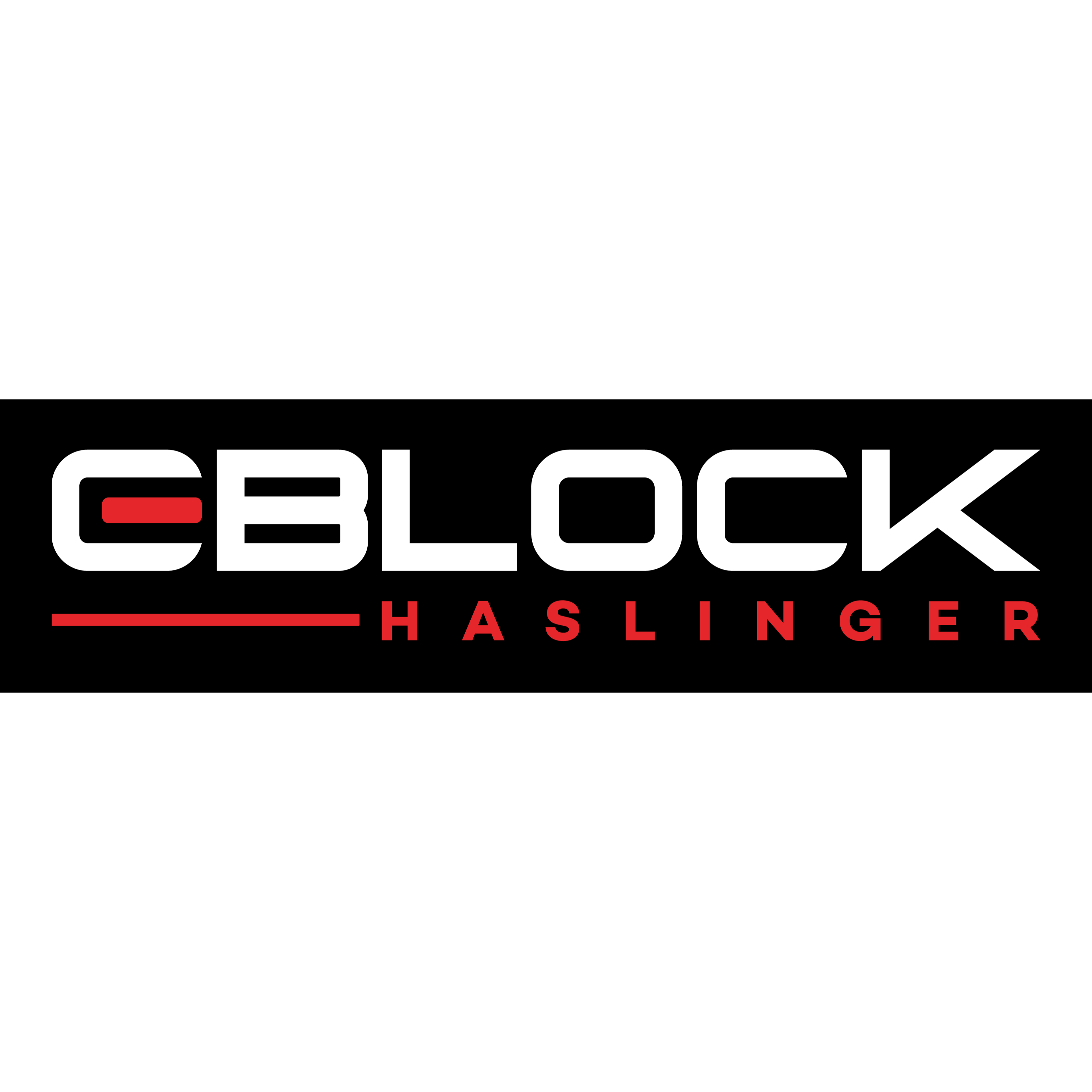 Haslinger CBLOCK GmbH Logo