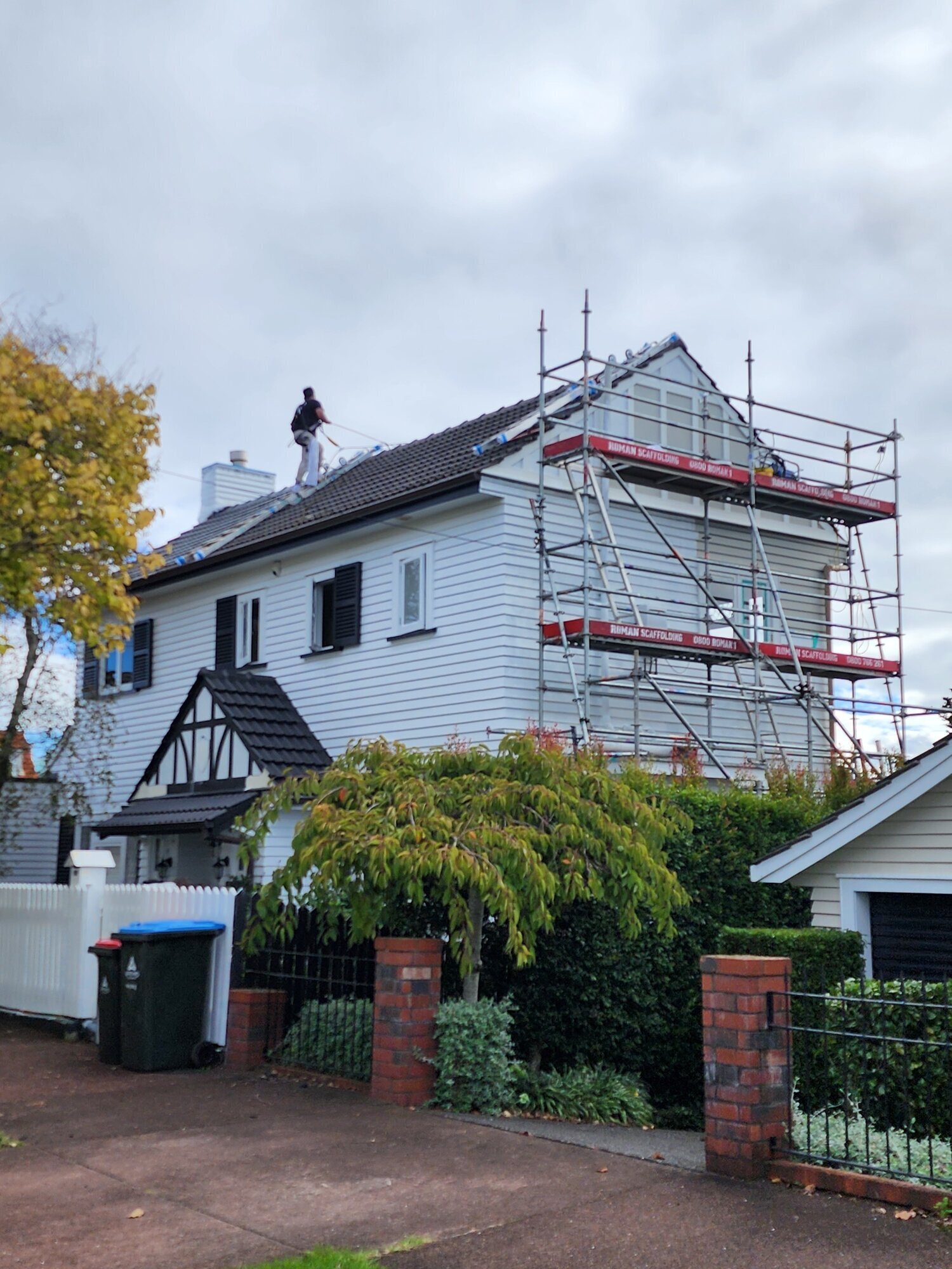 Images Tropical Painters & Decorators