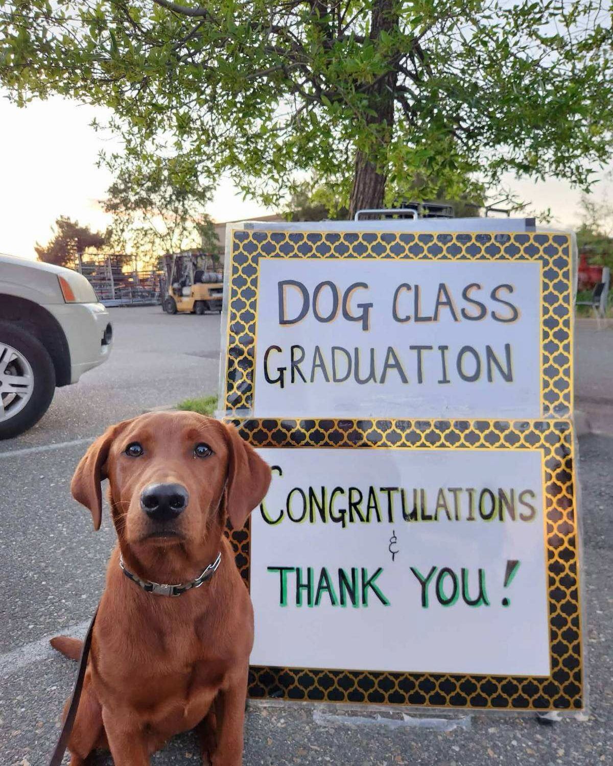 Adobe GRADUATED!
