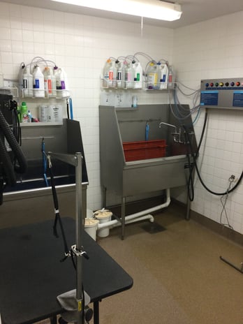 Images Petco Grooming