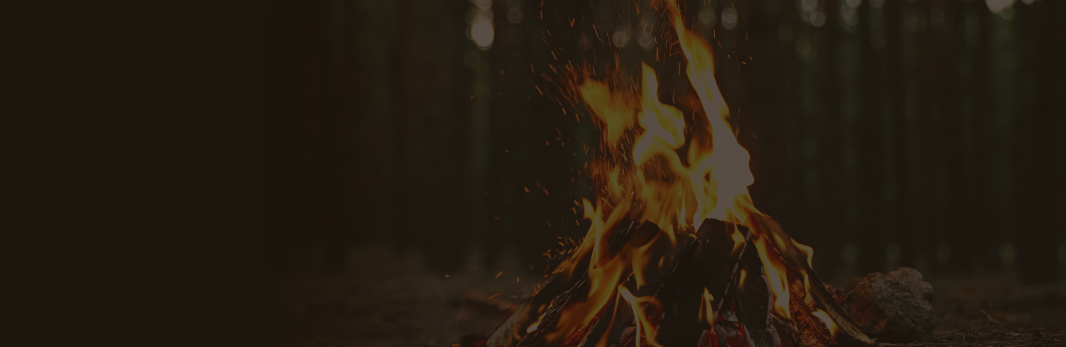 Close-up of a campfire in the forest.