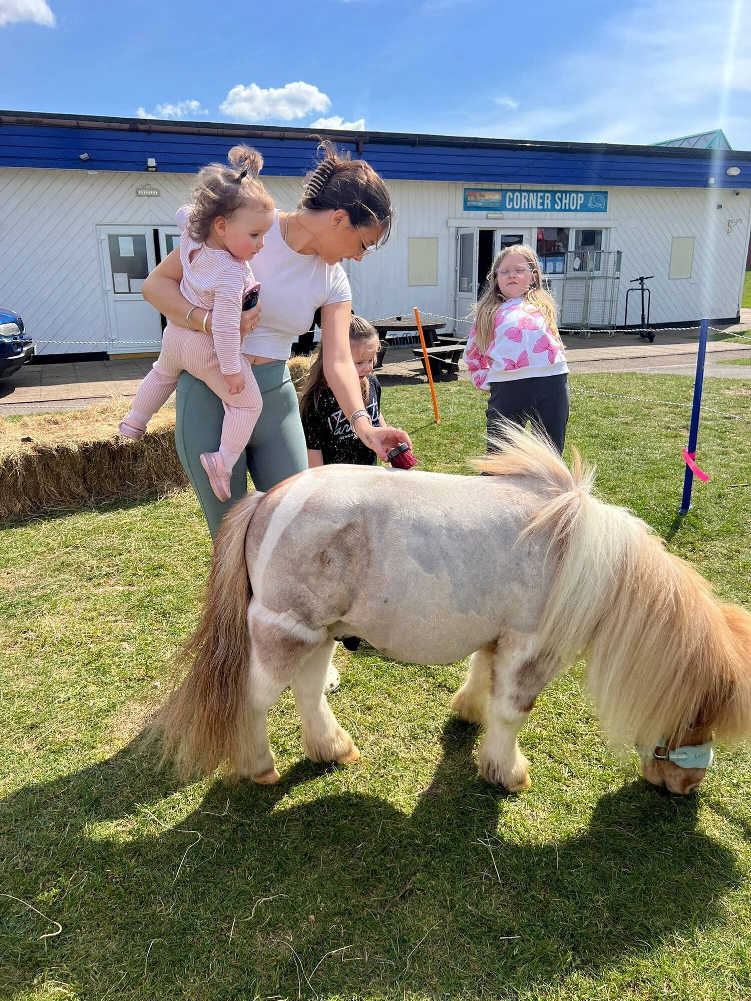 Images Kent Equine Therapy Ponies