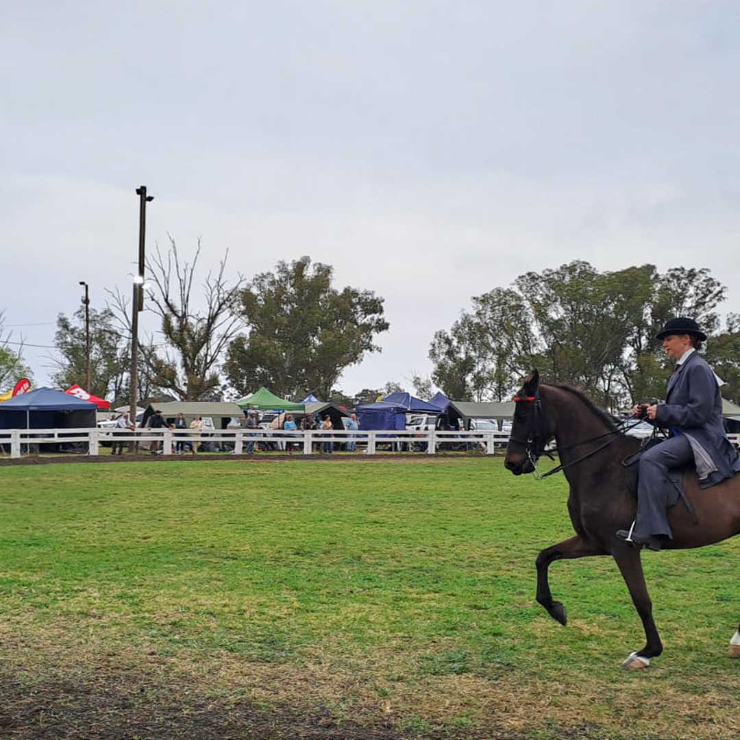 Images Solo Riding School