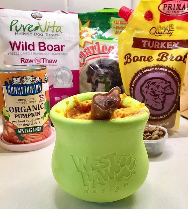 Images Urban Tails Pet Supply