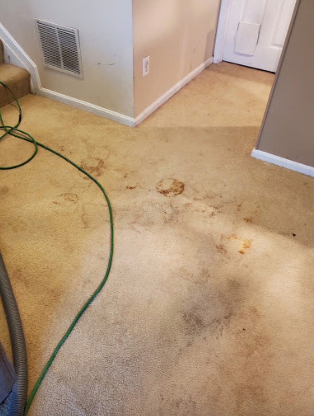 Before Chem-Dry of Annapolis Cleaning